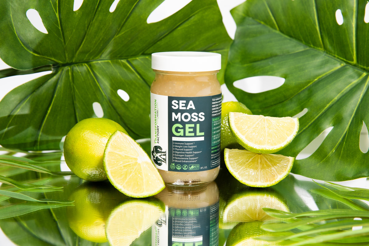 Raw Sea Moss Gel - Irish Sea Moss – The Transformation Factory