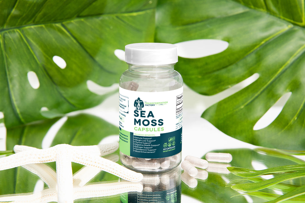 Raw Sea Moss Gel - Irish Sea Moss – The Transformation Factory