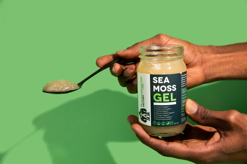 Irish gold Sea Moss Gel infused with Key Lime – Love4radiance