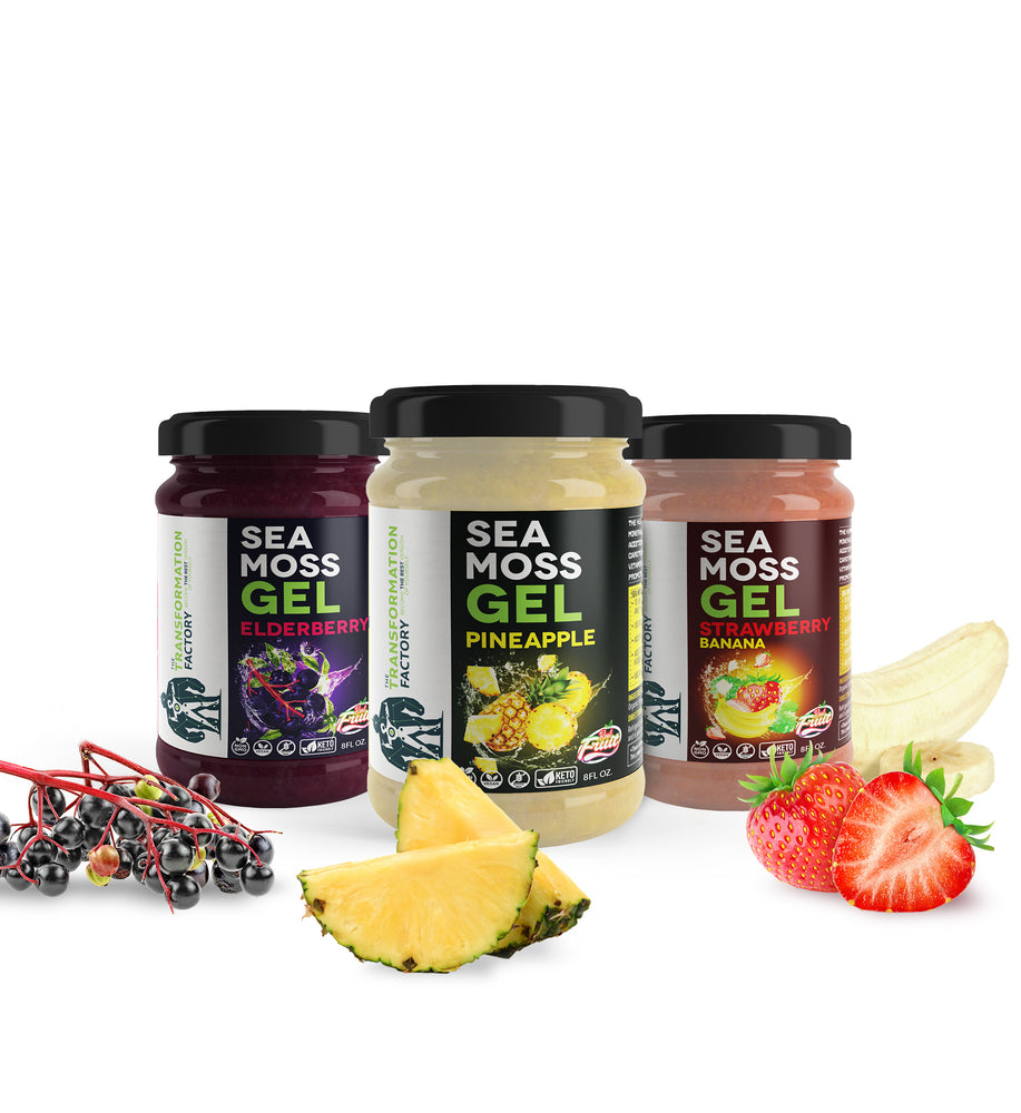 Our Customer's Favorites Bundle - Get Our Top 3 Flavors! – The  Transformation Factory